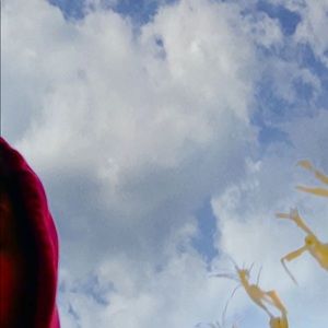 Meet your Posher, Matt